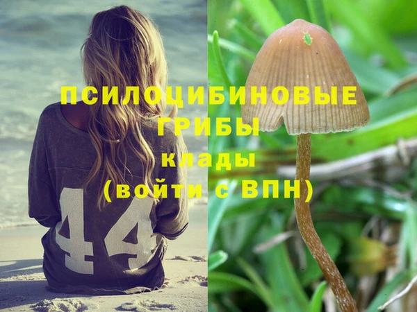apvp Гусев