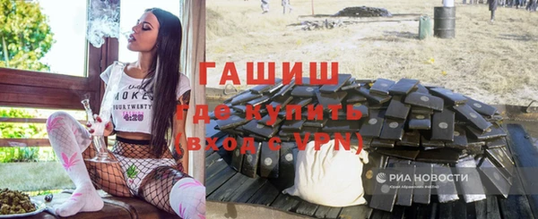 apvp Гусев