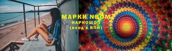 apvp Гусев
